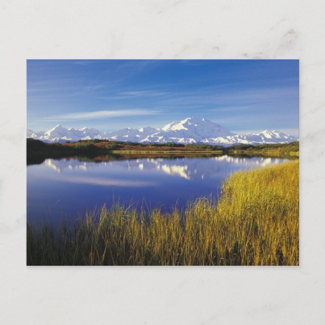 NA, USA, Alaska, Denali NP Mt. McKinley i Vykort (Framsida)