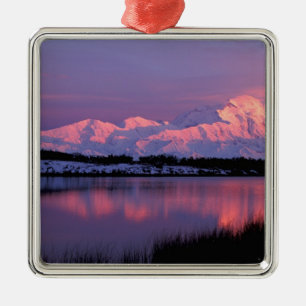 NA, USA, Alaska, Denali NP, Mt. McKinley, Julgransprydnad Metall