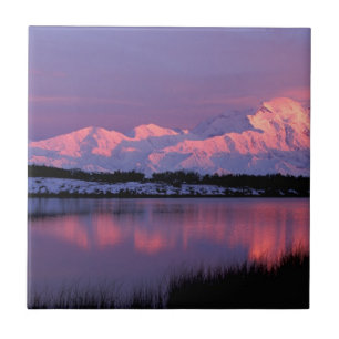 NA, USA, Alaska, Denali NP, Mt. McKinley Kakelplatta