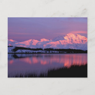 NA, USA, Alaska, Denali NP, Mt. McKinley Vykort
