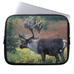 NA, USA, Alaska, Denali NP, tjur ren 3 Laptop Sleeve