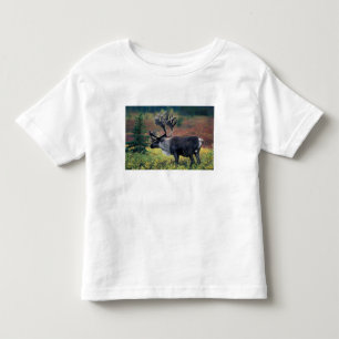 NA, USA, Alaska, Denali NP, Tjur ren 3 Tee Shirt
