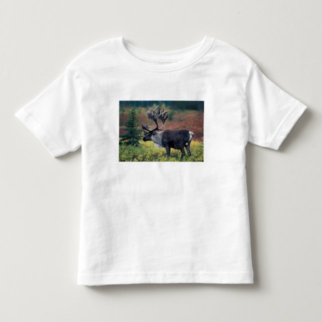 NA, USA, Alaska, Denali NP, Tjur ren 3 Tee Shirt (Framsida)