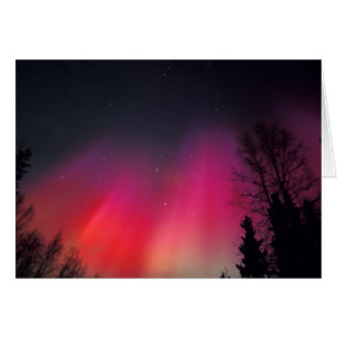 NA, USA, Alaska, Fairbanks, Draperier av rosa och Hälsningskort