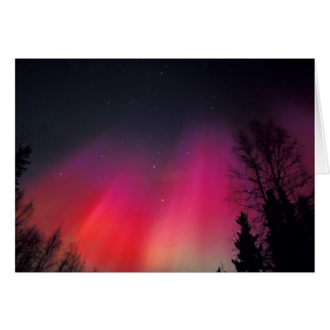 NA, USA, Alaska, Fairbanks, rosa- och Hälsningskort (Framsidan Horizontal)