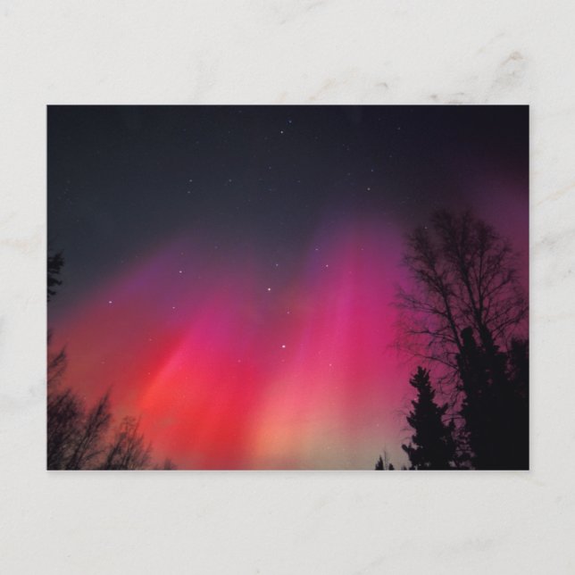 NA, USA, Alaska, Fairbanks, rosa- och Vykort (Framsida)