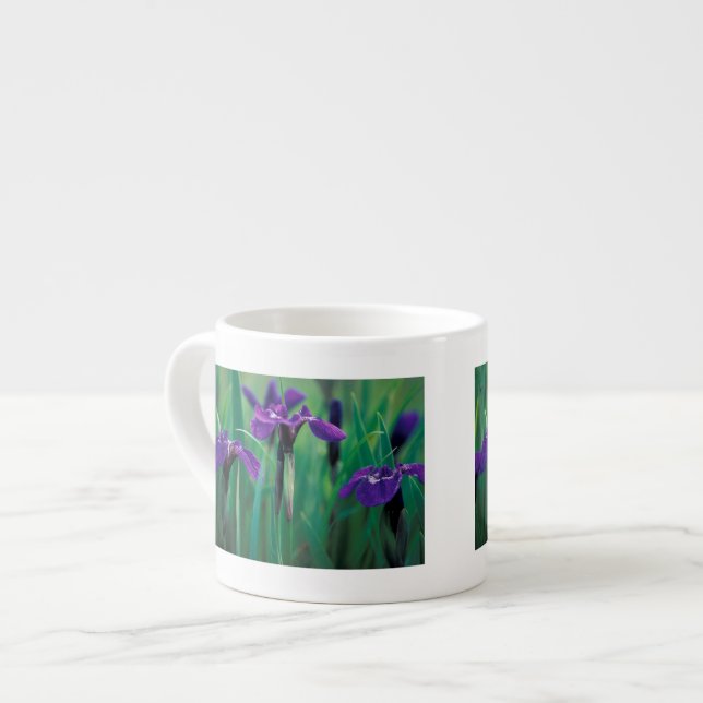 NA, USA, Alaska, Knight Island, Vild iris Espressomugg (Framsida vänster)