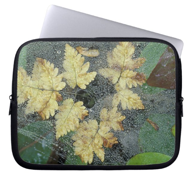 NA, USA, Alaska, Nancy Sjö. Visa på spindelnätet Laptop Sleeve (Framsidan)