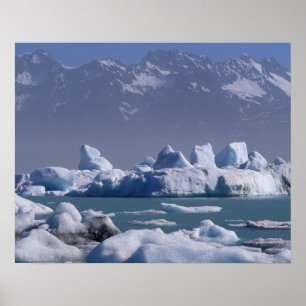 NA, USA, Alaska, St. Elias Range, Alsek River Poster