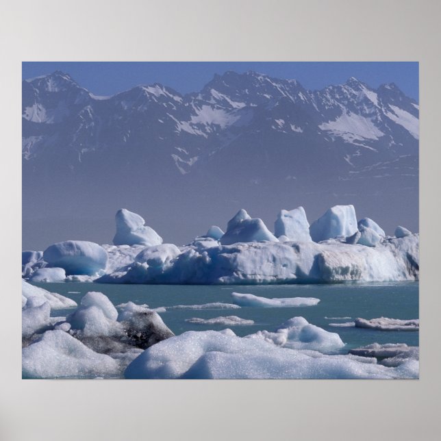 NA, USA, Alaska, St. Elias Range, Alsek River Poster (Framsidan)