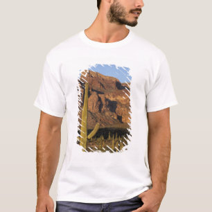NA, USA, Arizona. Organ Pipe Cactus Nationalpark T-shirt