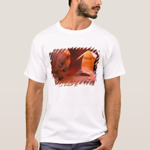 NA, USA, Arizona, Paria Canyon. Sandsten T Shirt