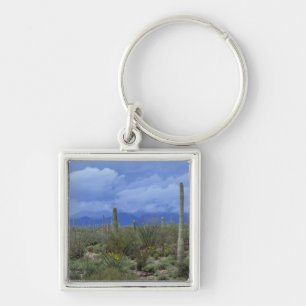 NA, USA, Arizona, Saguaro National Monument, Fyrkantig Silverfärgad Nyckelring