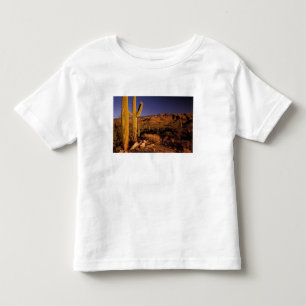 NA, USA, Arizona, Saguaro National Monument, T Shirt
