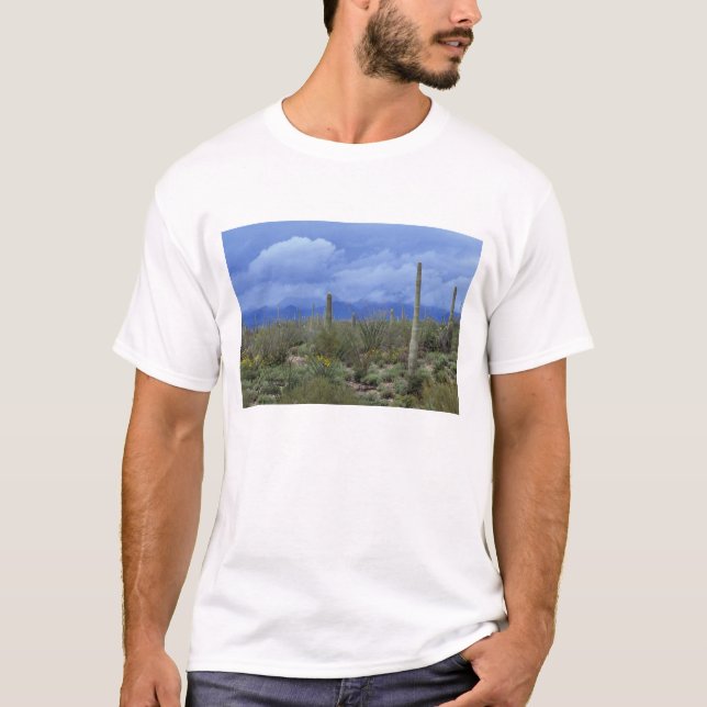 NA, USA, Arizona, Saguaro National Monument, Tee (Framsida)