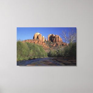 NA, USA, Arizona, Sedona. Cathedral Rock och ek Canvastryck