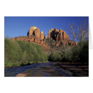 NA, USA, Arizona, Sedona. Cathedral Rock och ek Hälsningskort