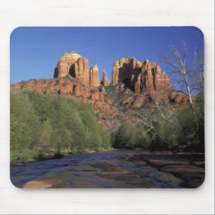 NA, USA, Arizona, Sedona. Cathedral Rock och ek Musmatta