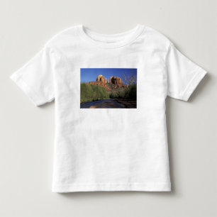 NA, USA, Arizona, Sedona. Cathedral Rock och ek Tee Shirt