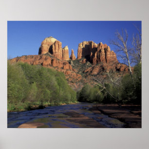 NA, USA, Arizona, Sedona. Katedral Sten och Oak Poster