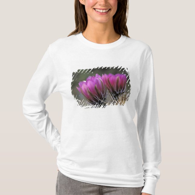 NA, USA, Arizona, Sonoraöken. Igelkott Tee Shirt (Framsida)
