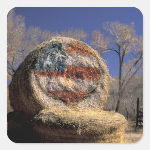 NA, USA, Colorado, Gunnison. Patriotisk hörrulle Fyrkantigt Klistermärke