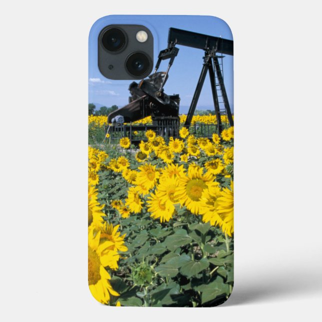 Na, USA, Colorado, Solrosor, Oljeborrningsrigg (Baksida)