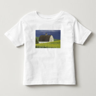 NA, USA, Idaho, söder om Genesse, rapsfält Tee Shirt