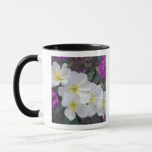 NA, USA, Kalifornien, Anza Borrego Desert State Mugg