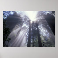 NA, USA, Kalifornien. Del Norte Coast State 2