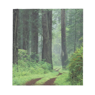 NA, USA, Kalifornien. Del Norte Coast State Park. Anteckningsblock