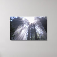 NA, USA, Kalifornien. Del Norte Kusten, stat 2