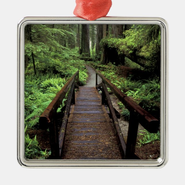 NA, USA, Kalifornien, Jedidiah Smith Redwood Julgransprydnad Metall (Framsidan)