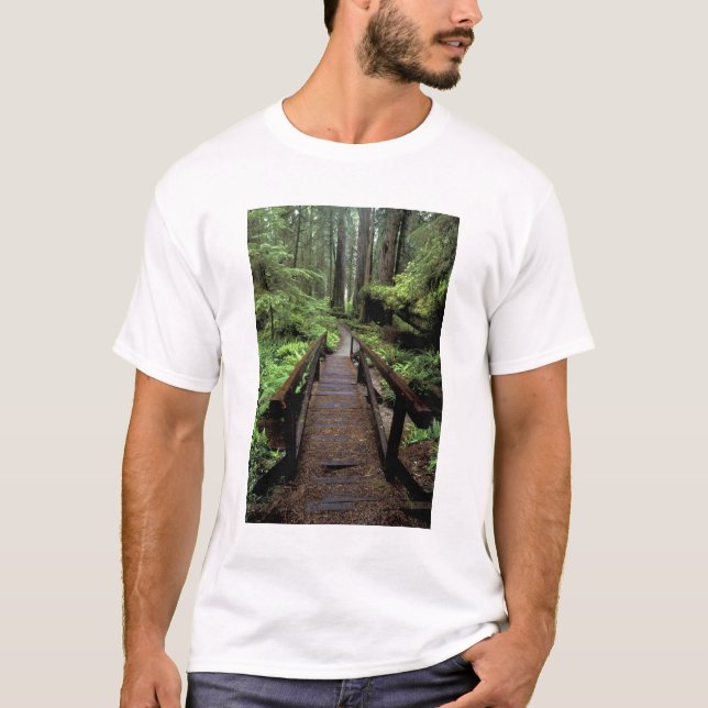 NA, USA, Kalifornien, Jedidiah Smith Redwood T Shirt (Framsida)