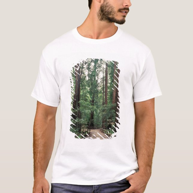 NA, USA, Kalifornien, Marin County, Muir Skogen Tee Shirt (Framsida)