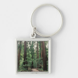 NA, USA, Kalifornien, Marin County, Muir Woods Fyrkantig Silverfärgad Nyckelring