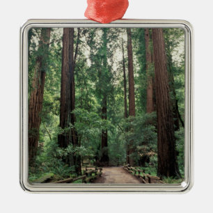 NA, USA, Kalifornien, Marin County, Muir Woods Julgransprydnad Metall
