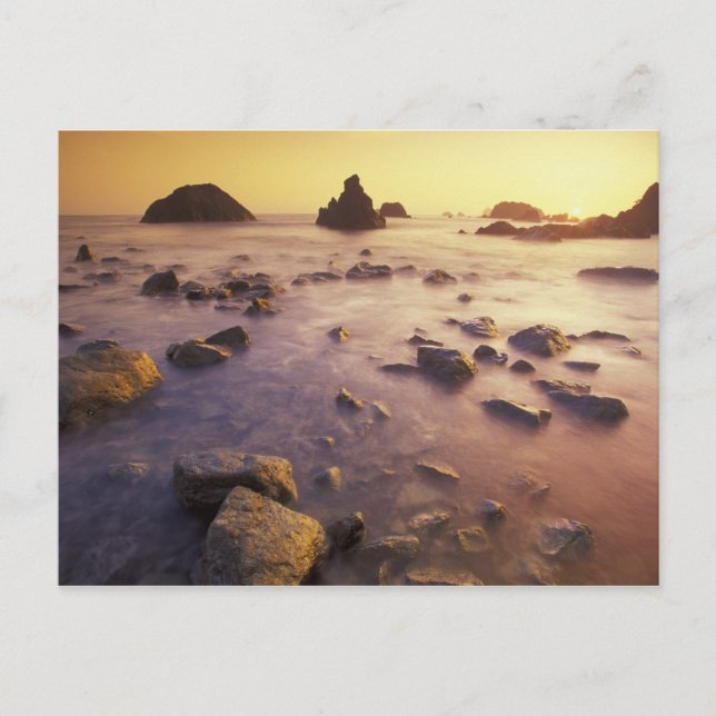 NA, USA, Kalifornien, Nordkalifornien Vykort (Framsida)