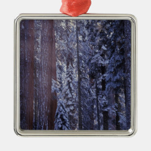 NA, USA, Kalifornien. Sequoia Nationalpark. 2 Julgransprydnad Metall