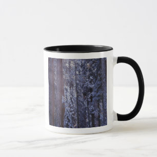 NA, USA, Kalifornien. Sequoia Nationalpark. 2 Mugg