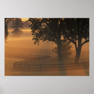 NA, USA, Kentucky. Dim dimmer morgon i Kentucky Poster