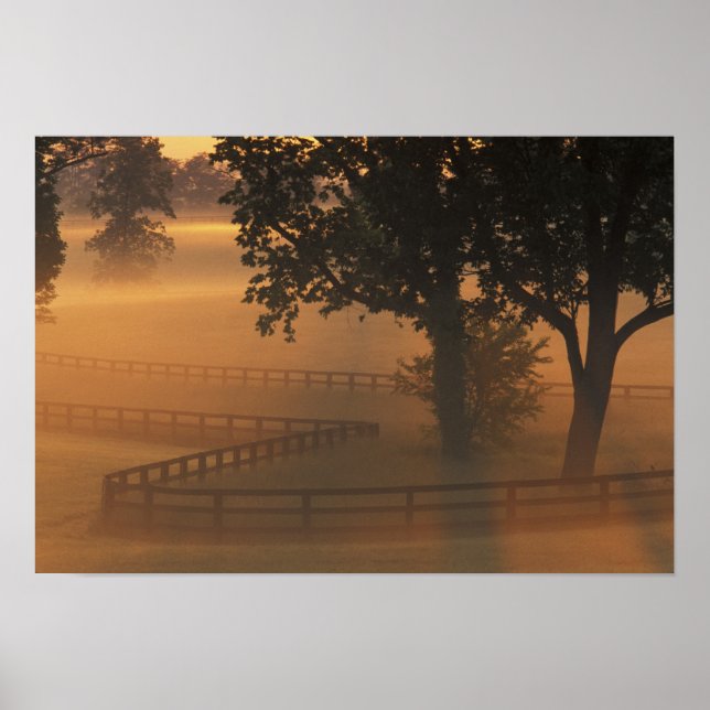 NA, USA, Kentucky. Dim dimmer morgon i Kentucky Poster (Framsidan)