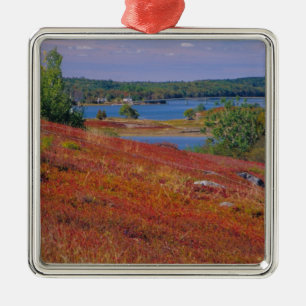 NA, USA, Maine. Blåbärshedar. Julgransprydnad Metall