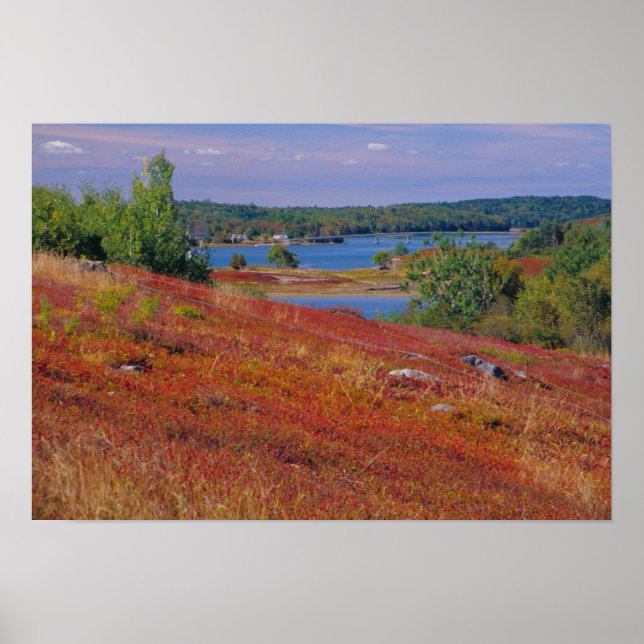 NA, USA, Maine. Blåbärshedar. Poster (Framsidan)