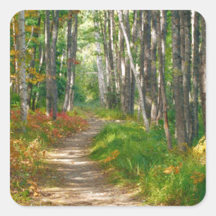NA, USA, Maine. Jessup trail i Acadia National Fyrkantigt Klistermärke
