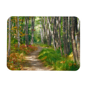 NA, USA, Maine. Jessup trail i Acadia National Magnet