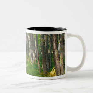 NA, USA, Maine. Jessup trail i Acadia National Två-Tonad Mugg