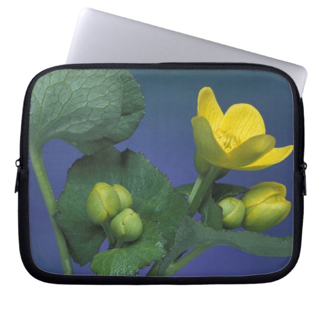 NA, USA, Michigan, Rochester Backe. Marsk Laptop Sleeve (Framsidan)