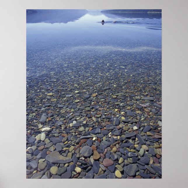 NA, USA, Montana, Glacier NP Klippor i sjö Poster (Framsidan)
