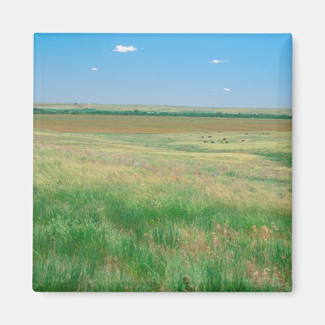 NA, USA, NE. Grasslands nära Ogallala med Magnet (Framsidan)